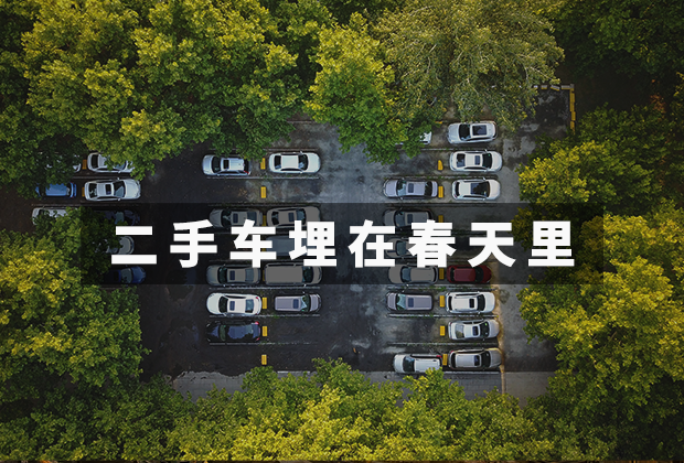 二手车埋在春天里