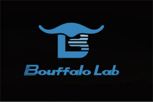 AIoT芯片公司“博流智能”B轮融资数千万美元，华创资本参与投资