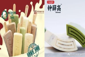 马迭尔和钟薛高，谁能成中国冰淇淋界百年网红