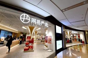 “退出”的网易严选，与只剩套路的双十一