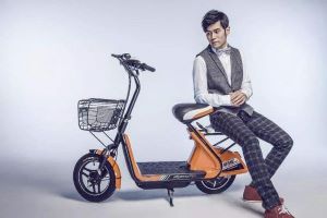 爱玛电动车：爱，却不能马上上市