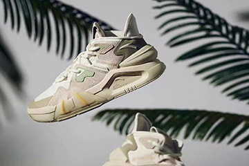 安踏登顶，耐克、阿迪翻篇