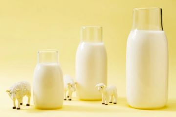 疯狂的羊奶，远未到“牛市”