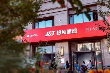 国潮风云|“猫”“狗”围追,“兔子”抢跑