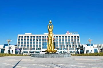 莲花健康：AI+消费时代，40年经典国货如何智取未来？