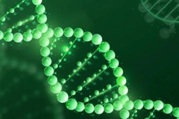 「火热」的重组胶原蛋白，「冷静」的巨子生物