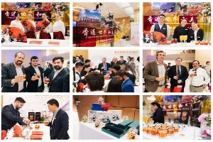 新华丝路：五粮液