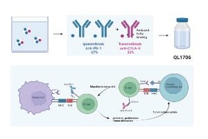 齐鲁制药3项肿瘤免疫治疗临床研究入选ASCO2024