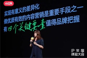 凯度联合小红书发布《营销IP说明书》,营销没有天花板