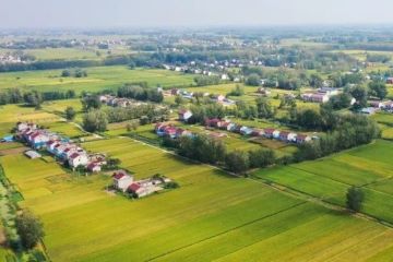 国潮寻味|走进宁夏固原:六盘山冷凉蔬菜引领乡村产业振兴新标杆