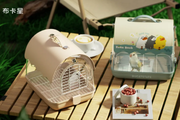 观潮星探|对话布卡星：“冷门动物”走红，如何掘金下一轮“宠物经济”？