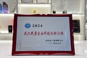 黑芝麻智能入围2024武汉民营企业科技创新50强